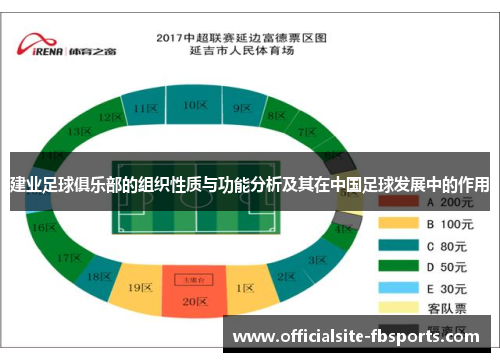 建业足球俱乐部的组织性质与功能分析及其在中国足球发展中的作用