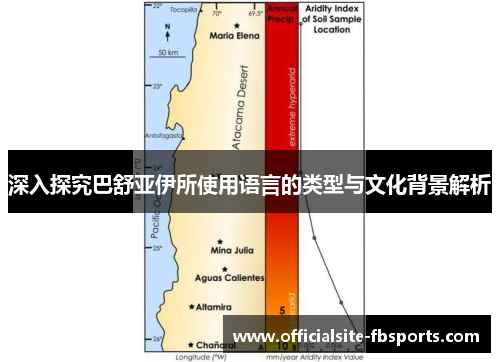 深入探究巴舒亚伊所使用语言的类型与文化背景解析
